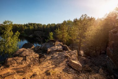 Güzel orman dağ yolu. Toz izi ile yoğun köknar ormanı