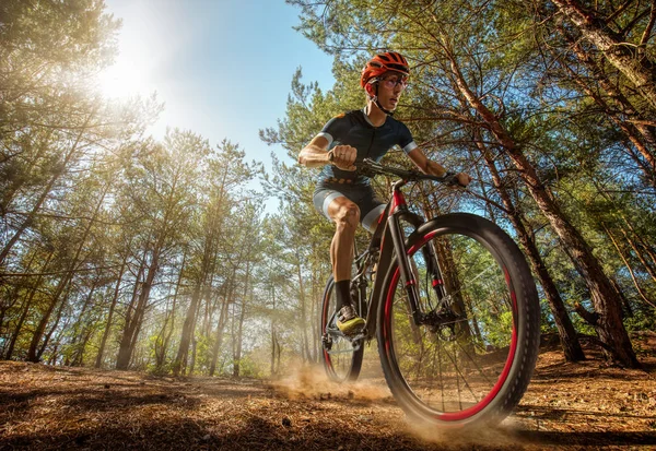 Cross-Country biker on trail. Male cyclist rides the rock