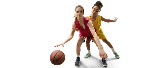 Isolated Female Basketball Players Fight Ball Basketball Players White Background — Stock Photo, Image
