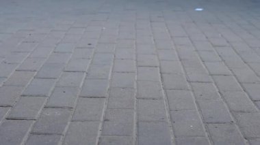 Ayakkabı closeup kavramı kalabalık feet. Anonim insanlar sokakta yürüme.