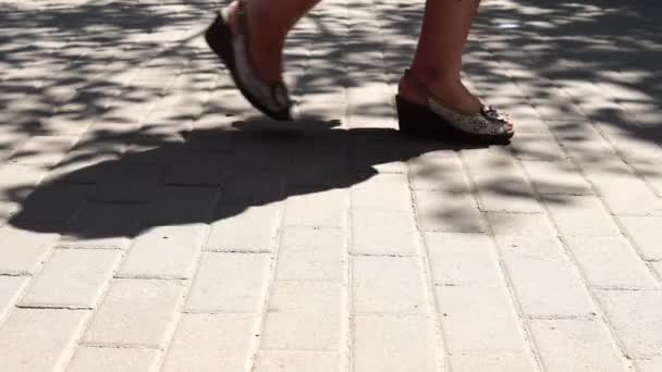 Concept menigte voeten met schoenen close-up. Anonieme mensen lopen op straat. — Stockvideo