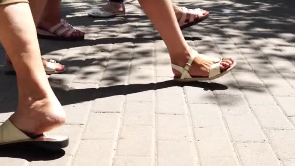 Concept menigte voeten met schoenen close-up. Anonieme mensen lopen op straat. — Stockvideo