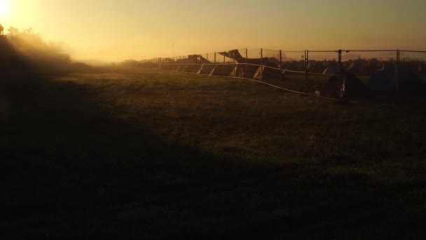 Antenn: Flyg över fältet vete i solnedgången — Stockvideo