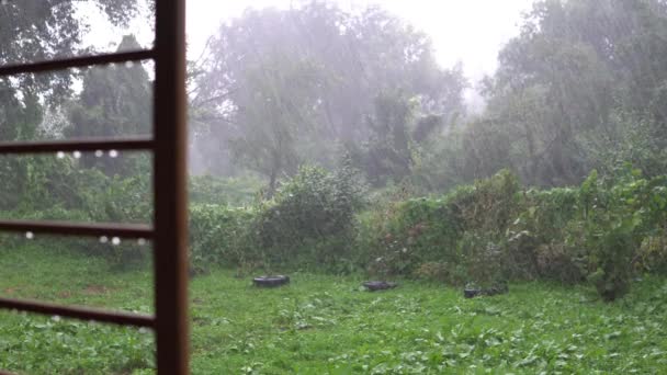 Şiddetli yağmur ve ağaç Park yerinde — Stok video