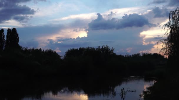 Luchtfoto: Vlucht over de prachtige rivier en groene hout. Zonsondergang zacht licht met pastel bewolkte hemel. Statige landschap. 4 k-resolutie. — Stockvideo