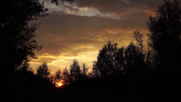 Destansı Hava Uçuşu Puslu Orman Günbatımı Renkli Sonbahar Ağaçları Altın Saatlik Günbatımı Renkler Efsanevi Zafer Yürüyüşü ve Turizm Kavramı — Stok video