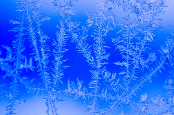 Frost Pattern Window — Stock Photo, Image