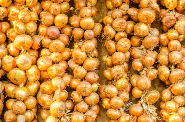 Taze soğan. Soğan arka planı. Olgun soğanlar. Piyasada soğan.