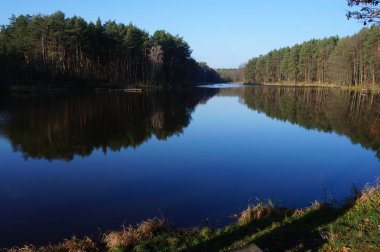 Güzel dağ gölü Maricheika Ukrayna Karpatlar. Yaz güneşli gün. Ülkenin güzel yerleri Ukrayna doğası. Tampon bölge.