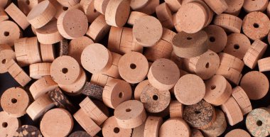 Mantar olta yapmak için