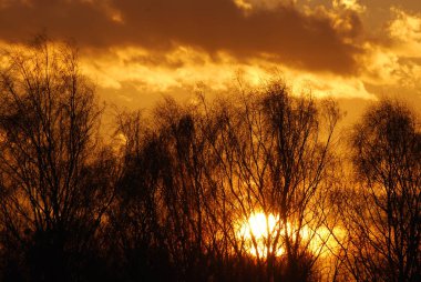 Soyut doğa arka plan. Moody pembe, mor ve mavi bulutlu gün batımı gökyüzü