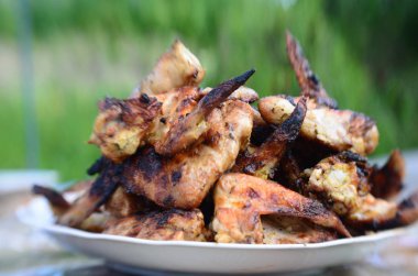 kırmızı sos ve patates kızartması ile kızarmış tavuk kanatları