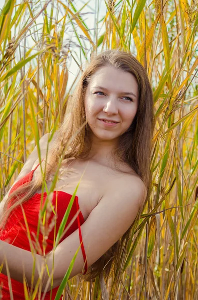Hermosa chica en un vestido rojo elegante posando en un campo de amapola. Campo de amapola al atardecer. Procesamiento artístico. Puesta de sol —  Fotos de Stock