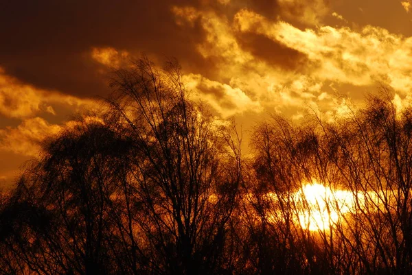 Abstrakte Natur Hintergrund. launischer rosa, lila und blauer wolkenverhangener Himmel bei Sonnenuntergang — Stockfoto