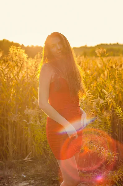 Beautiful girl in a posh red dress posing on a poppy field. Poppy field at sunset. Art processing. Sunset — Stock Photo, Image