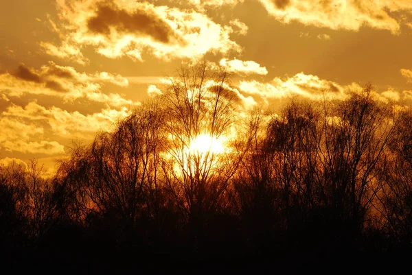 Abstrakte Natur Hintergrund. launischer rosa, lila und blauer wolkenverhangener Himmel bei Sonnenuntergang — Stockfoto