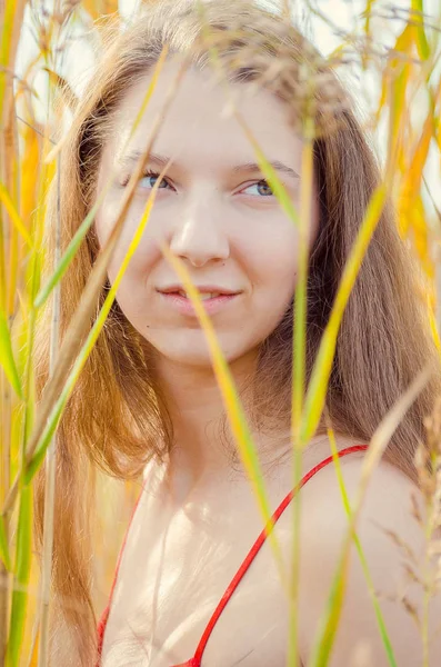 Schöne Mädchen in einem noblen roten Kleid posiert auf einem Mohnfeld. Mohnfeld bei Sonnenuntergang. Kunstverarbeitung. Sonnenuntergang — Stockfoto