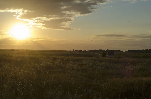 Solnedgång på området för vete. sammansättningen av naturen — Stockfoto