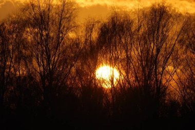 Soyut doğa arka plan. Moody pembe, mor ve mavi bulutlu gün batımı gökyüzü