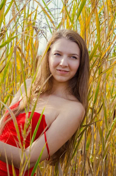 Bella ragazza in un elegante vestito rosso in posa su un campo di papaveri. Campo di papavero al tramonto. Lavorazione artistica. Tramonto — Foto Stock