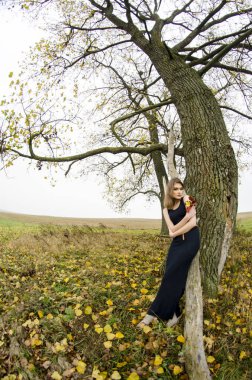 güzel seksi kız, doğada poz, sonbahar elbiseleri