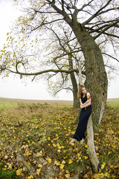 güzel seksi kız, doğada poz, sonbahar elbiseleri
