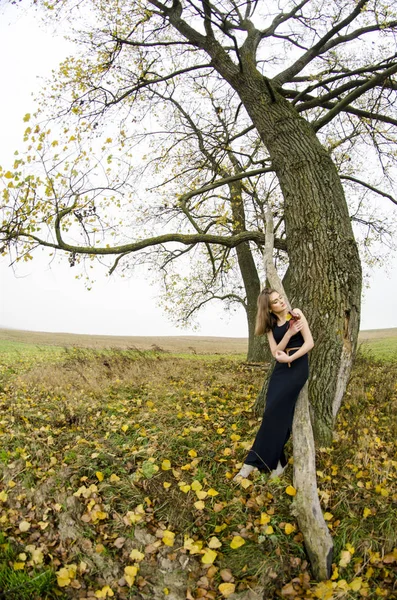 Hermosa chica sexy, posando en la naturaleza, vestidos de otoño —  Fotos de Stock