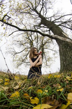 güzel seksi kız, doğada poz, sonbahar elbiseleri