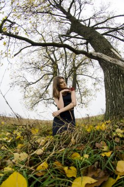 güzel seksi kız, doğada poz, sonbahar elbiseleri