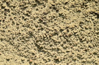 Tahta kurdu beton doku