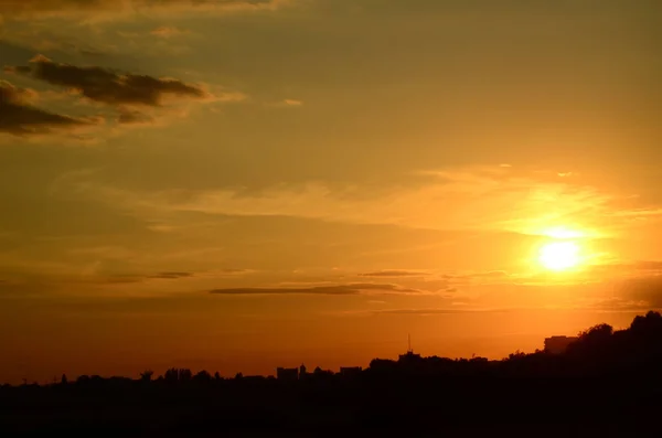 Antenn: Flyg över fältet vete i solnedgången — Stockfoto