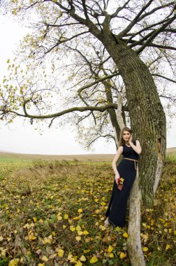 güzel seksi kız, doğada poz, sonbahar elbiseleri