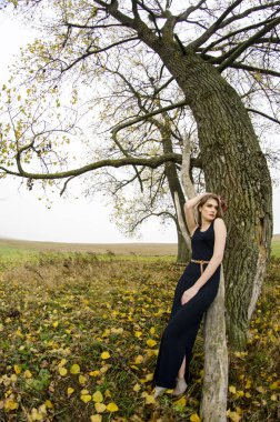 güzel seksi kız, doğada poz, sonbahar elbiseleri