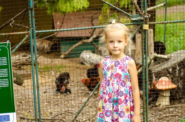 Маленькая Девочка Зоопарке — стоковое фото