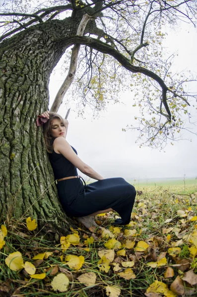 Piękna seksowna dziewczyna, stwarzając w naturze, jesienne sukienki — Zdjęcie stockowe