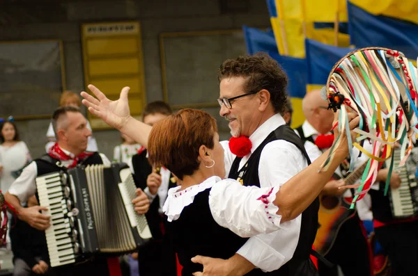 Uzavření festivalu "Polissya léto se slavností Ukrajina" 25.08.2018 — Stock fotografie