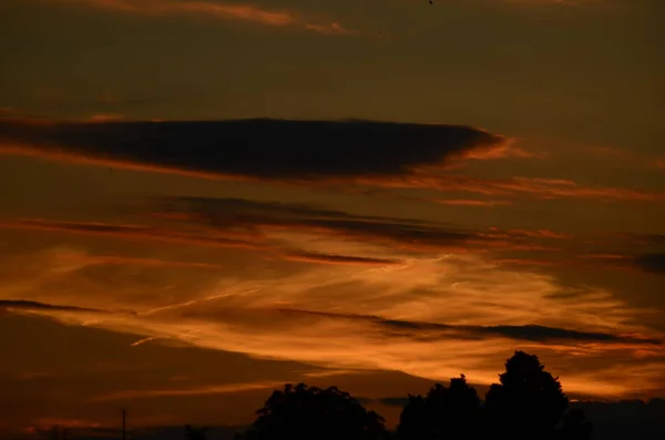 AERIAL: Lento yli vehnäpellon auringonlaskussa — kuvapankkivalokuva