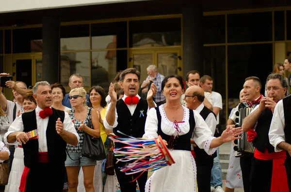 Uzavření festivalu "Polissya léto se slavností Ukrajina" 25.08.2018 — Stock fotografie