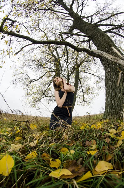 Красива сексуальна дівчина, позує в природі, осінні сукні — стокове фото