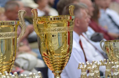açık havada boks yarışmaları. Lutsk Volyn Bölgesi Ukrayna, 25.08.17.