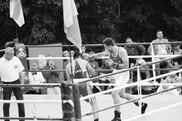 Boxerské soutěže na otevřeném vzduchu. Lutsk Volyn region Ukrajina, 25.08.17. — Stock fotografie
