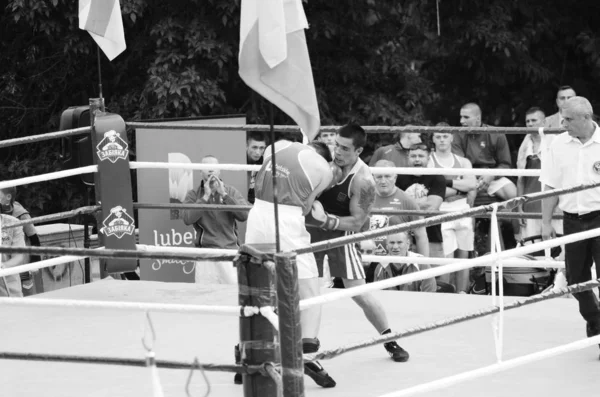 Boxing competitions in the open air. Lutsk Volyn Region Ukraine, 25.08.17. — Stock Photo, Image