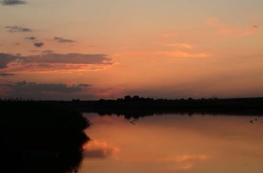 Gün batımında çimenler nehir manzarasında