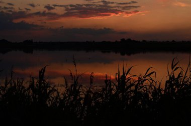 Gün batımında çimenler nehir manzarasında