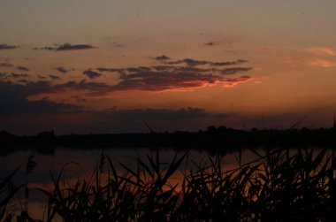 Gün batımında çimenler nehir manzarasında