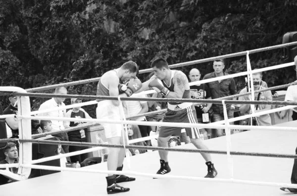 Competições de boxe ao ar livre. Região de Lutsk Volyn Ucrânia, 25.08.17 . — Fotografia de Stock