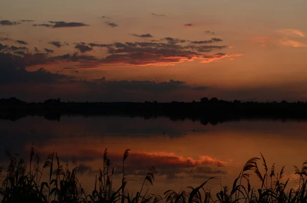 Hierba puesta del sol en el río paisaje puesta del sol —  Fotos de Stock