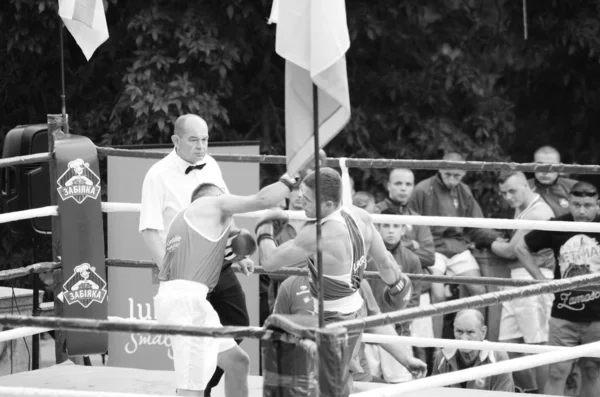 Competições de boxe ao ar livre. Região de Lutsk Volyn Ucrânia, 25.08.17 . — Fotografia de Stock