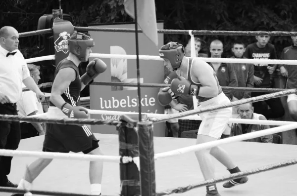 Boxning tävlingar i det öppna luften. Lutsk Volyn region Ukraina, 25.08.17. — Stockfoto