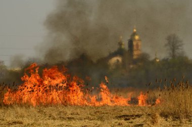 Bataklık dere kıyı bölgesi, Liana aşırı büyüme yangından güçlü duman. Kuru sazlık bahar yangınları tehlikeli nehir tarafından köy evler yaklaşım sazlık, Kuru Çim Temizleme alanları. Doğal felaket